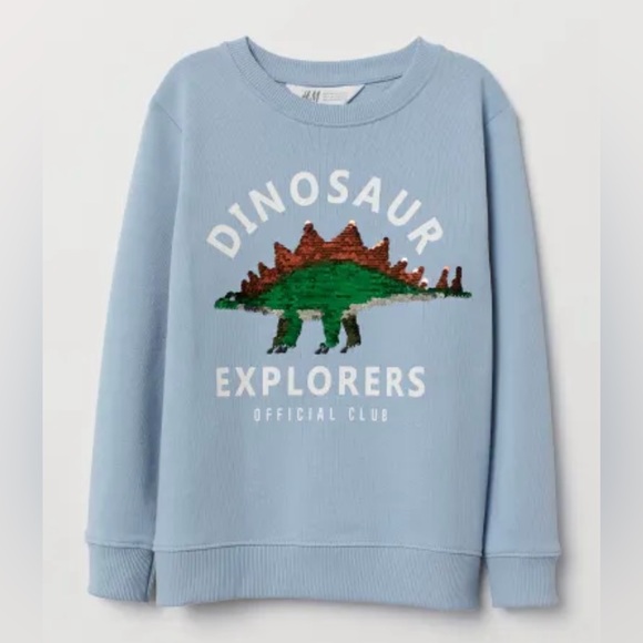 H&M Dinosaur Explorers Sweatshirt - Picture 1 of 4
